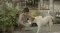 Excelente Comercial THAI con una... View Video