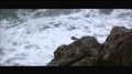 Para el Verdadero Juan Salvador... View Video