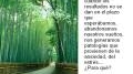 El Bambu Japonés: Una Historia de... View Video