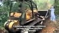 Mensaje a la Humanidad: ... View Video