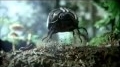 Comercial de Volkswagen Super Bowl... View Video