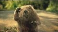 Comercial de Bridgestone - Carma... View Video