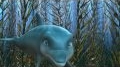 EL DELFIN, La Historia de un... View Video