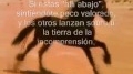 La Parábola del Caballo: Si has... View Video